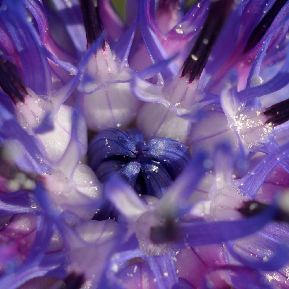 Фотография автора Aleksei Batiukov