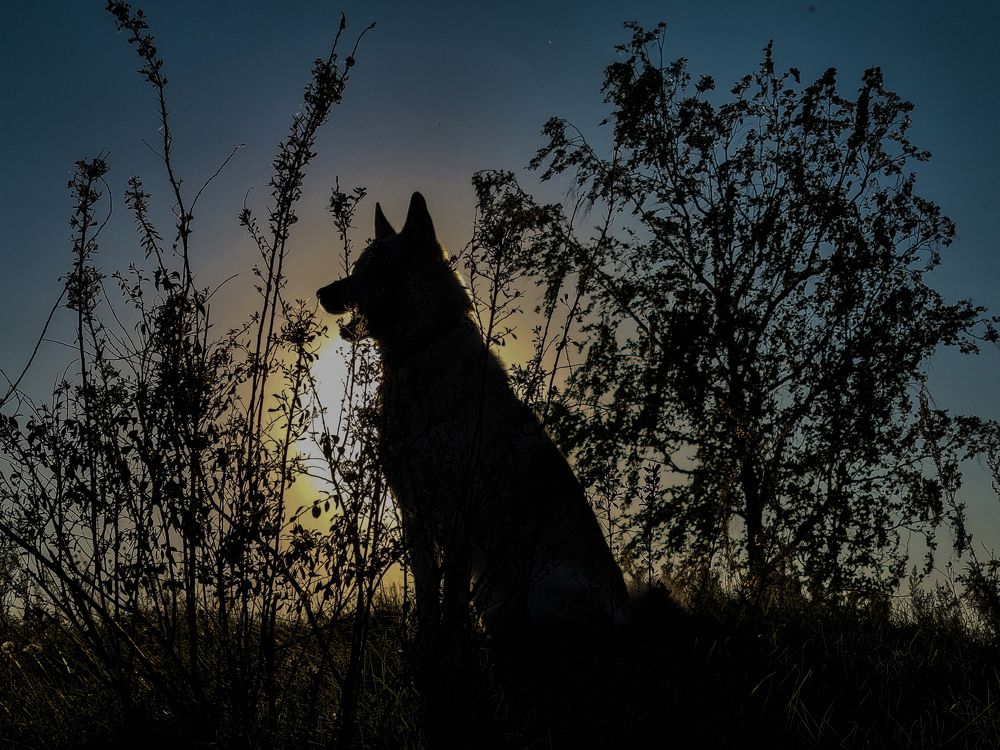 Photograph by Андрей Баталов