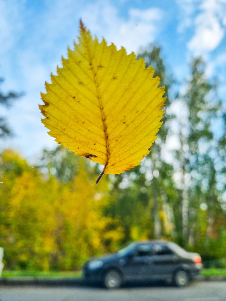 Photograph by Андрей Баталов