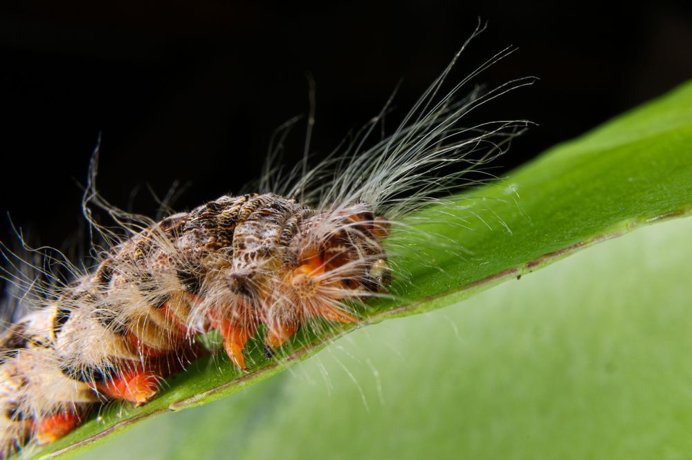 Фотография автора Delvis Romero