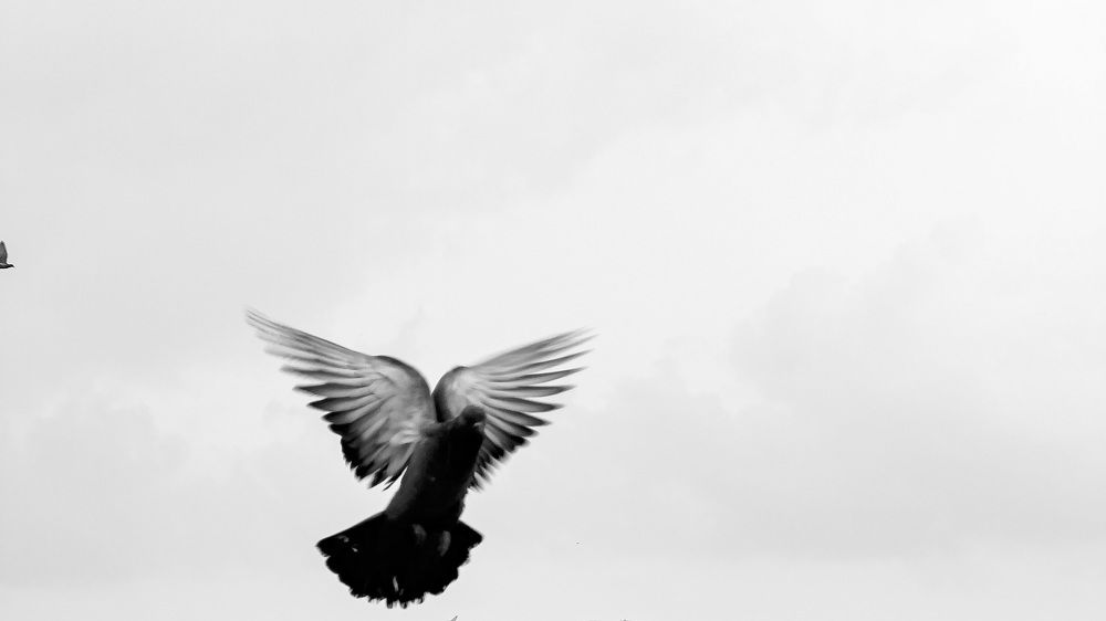 Photograph by Yahya Gopalani