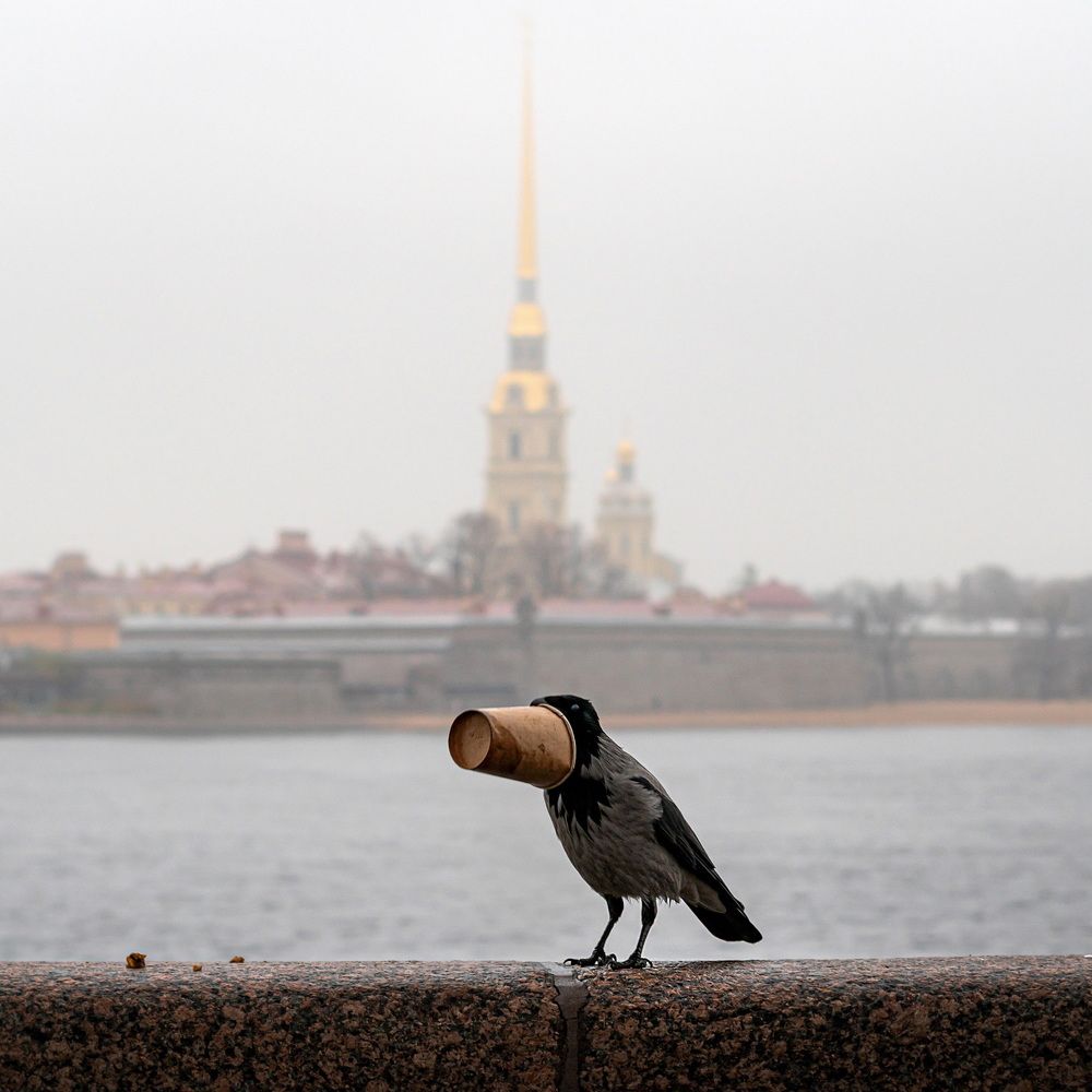 Photograph by Nikitin Igor