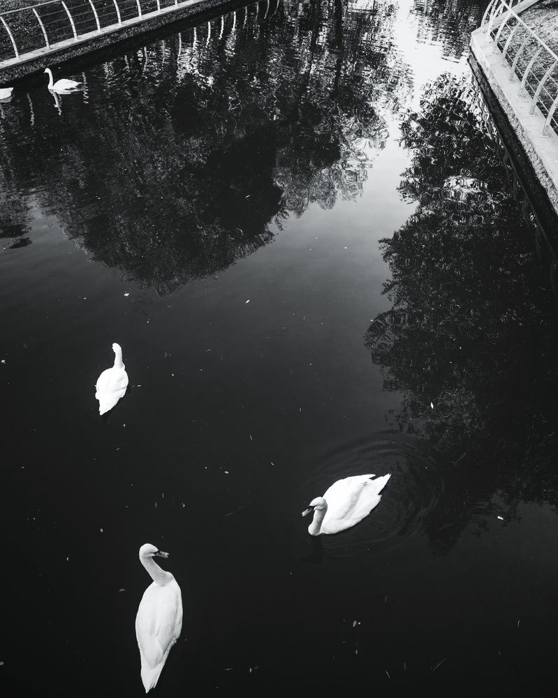 Photograph by Kanat Amre