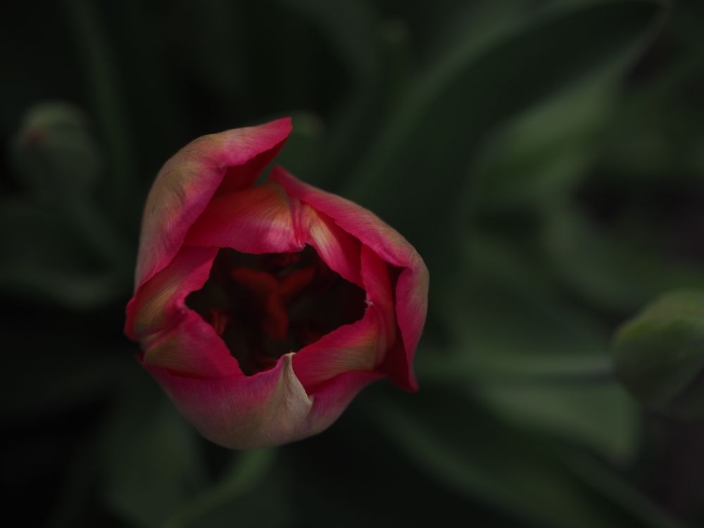 Photograph by Светлана Шибаршина