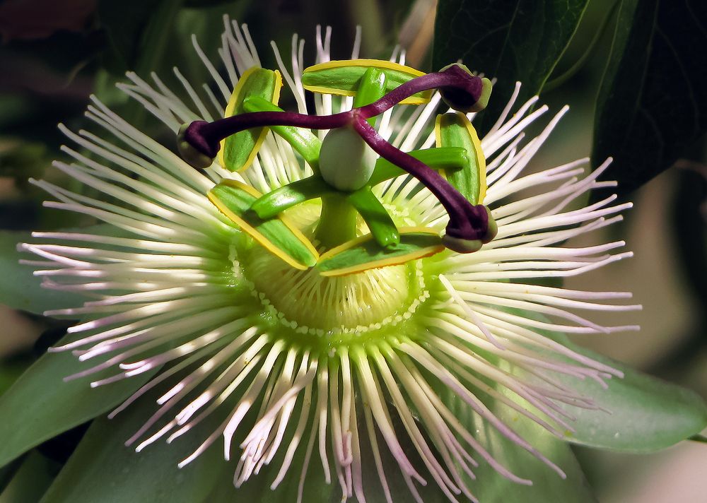 Photograph by Алексей Окунеев