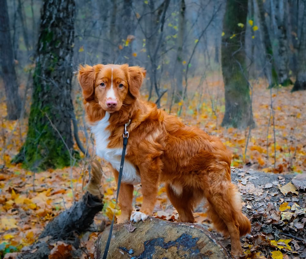 Photograph by Вера Кобченко