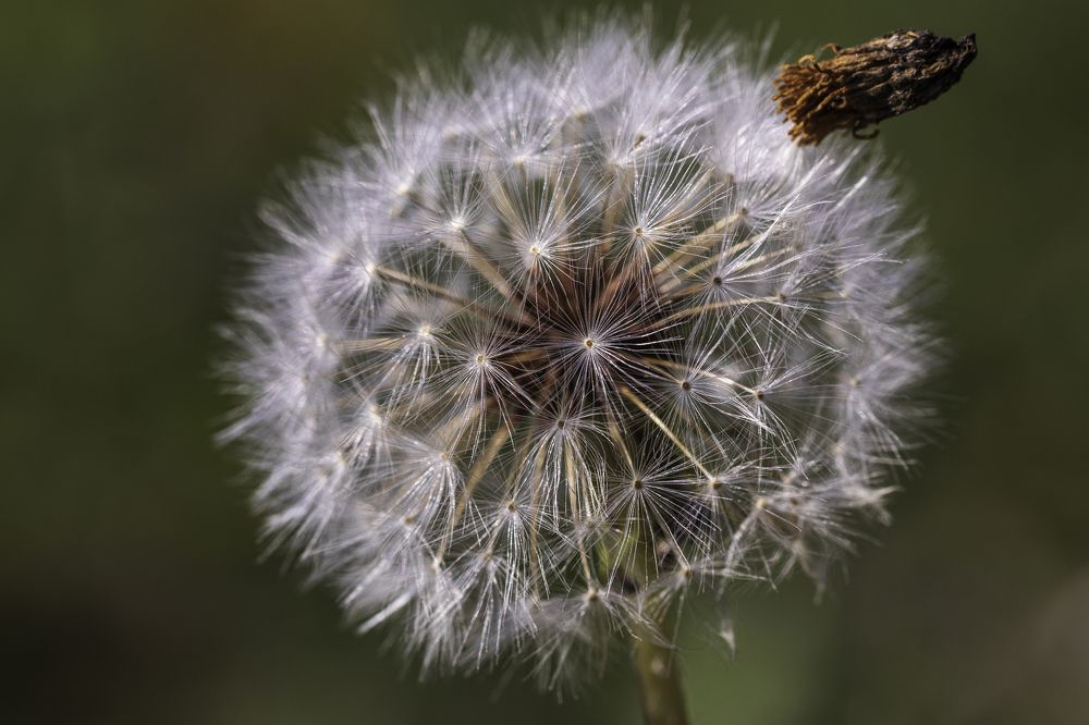 Photograph by Borsan Claudiu Valentin