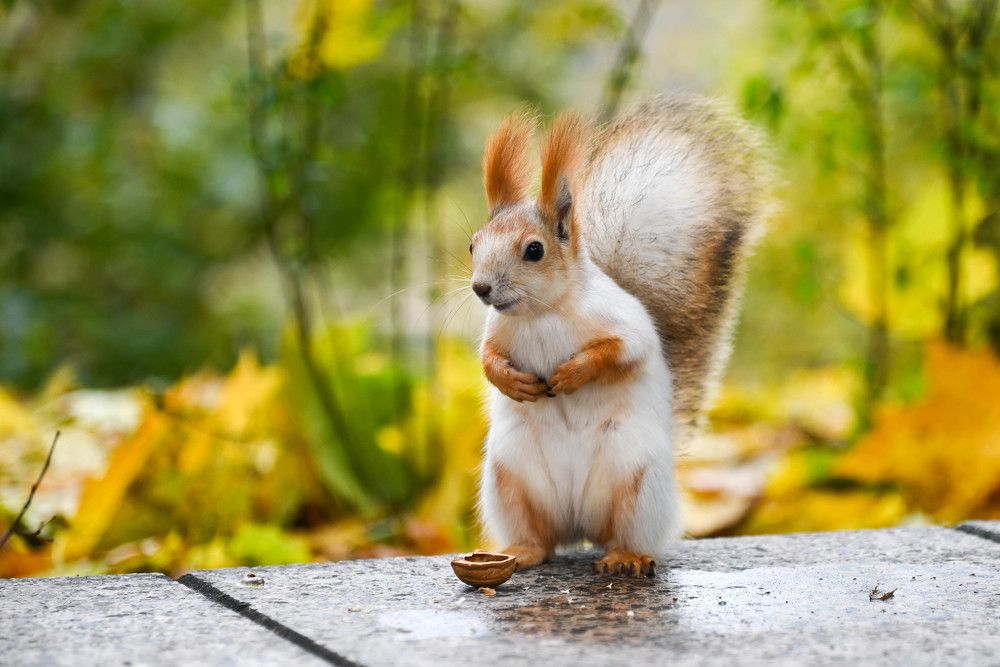 Фотография автора Юлия Кузнецова