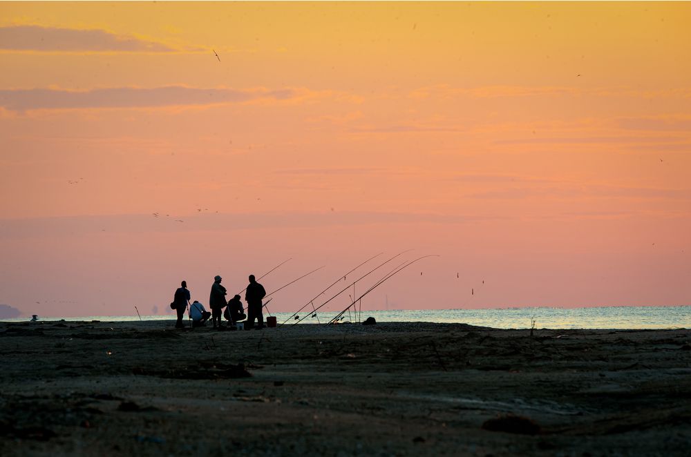 Photograph by Тимур Разиков