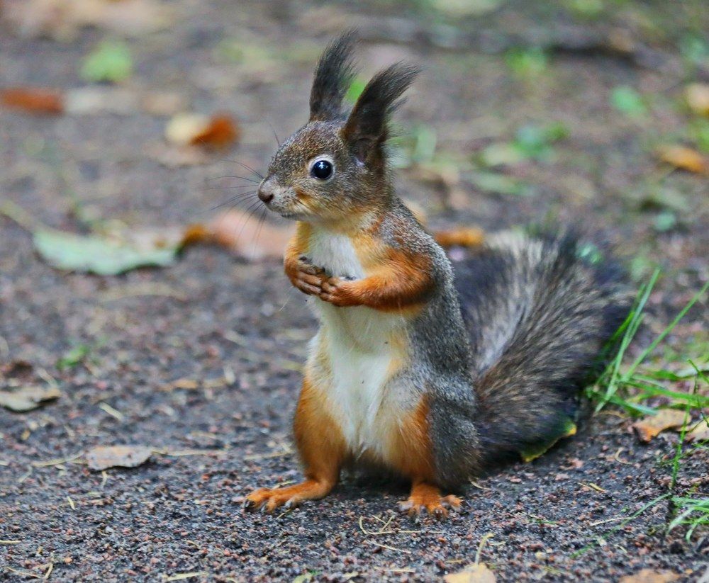 Photograph by Татьяна Бравая