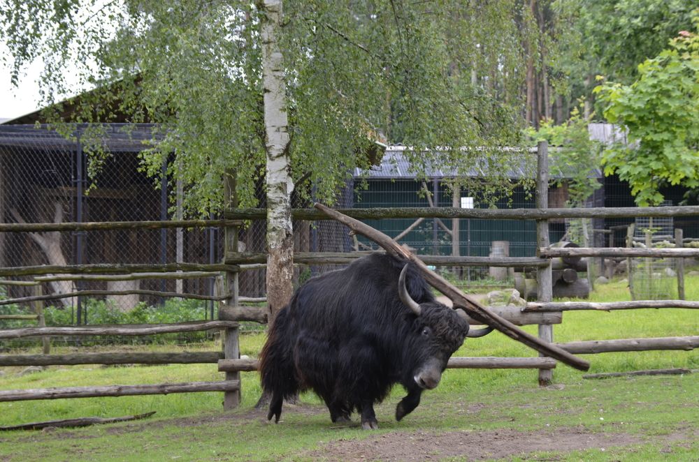 Photograph by Николай Соколовский