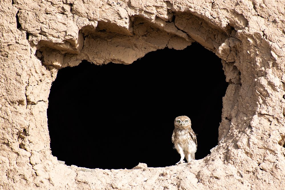 Photograph by Eslami nia Abolfazl