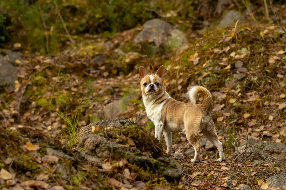 Photograph by Юлия Куликова