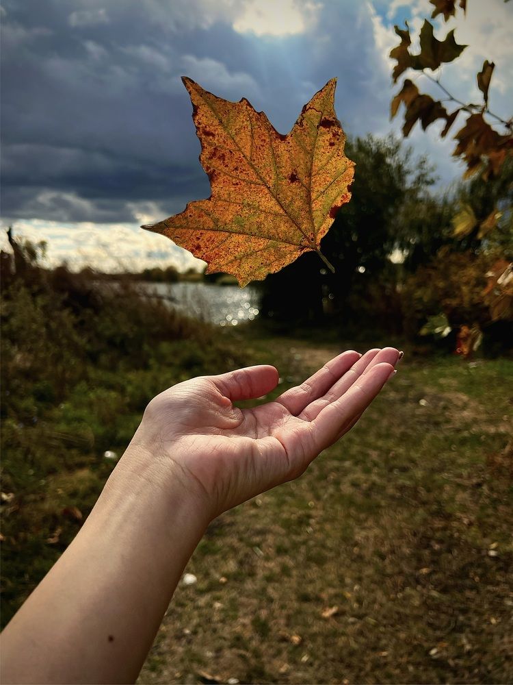 Photograph by Елена Громова
