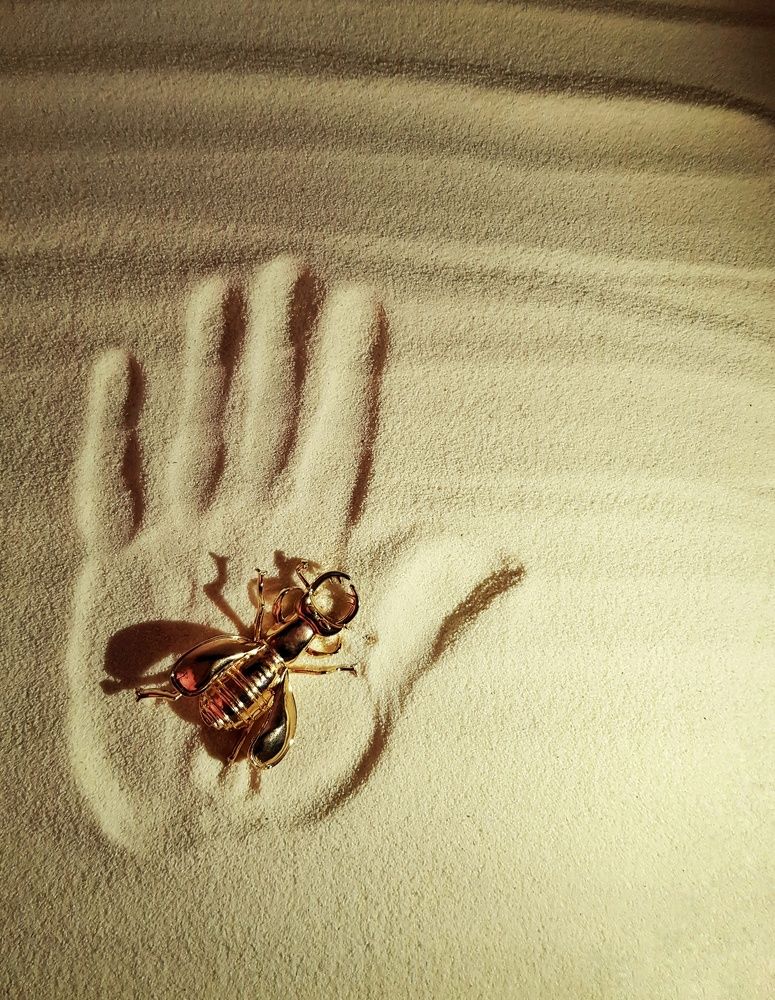 Фотография автора Алёна