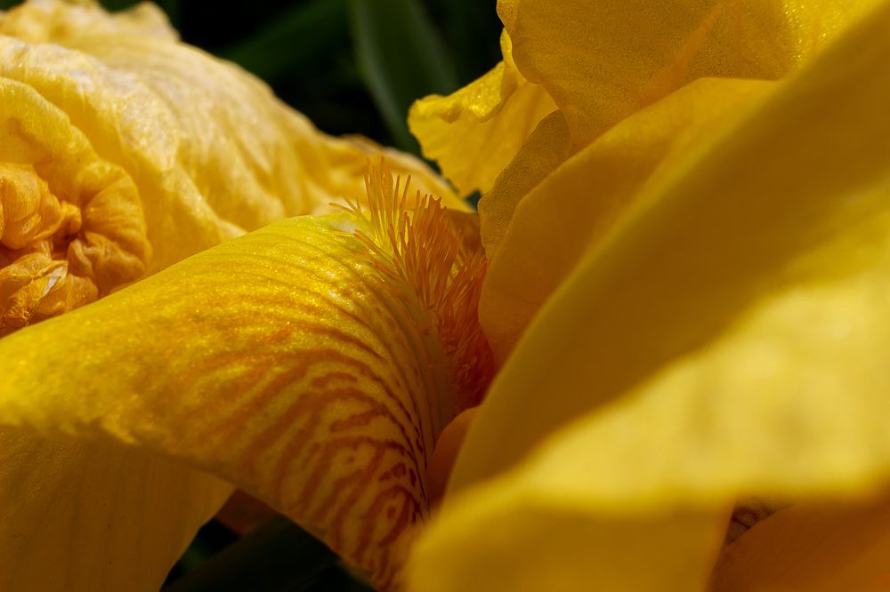 Photograph by Nastya Perekhodkina