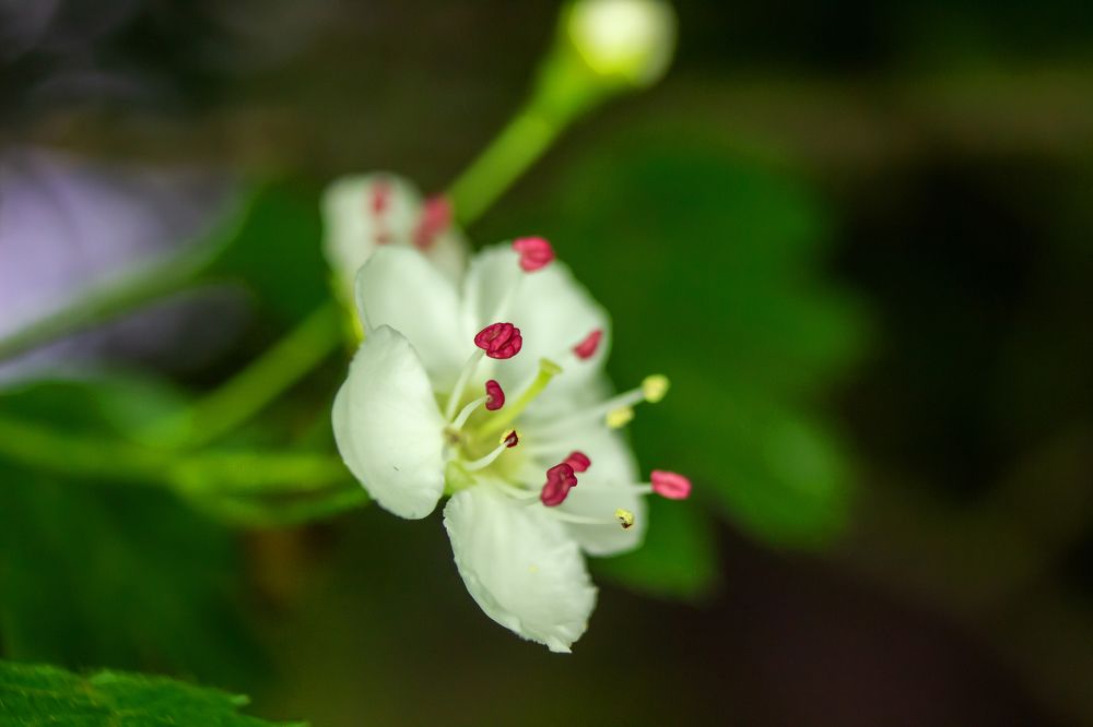 Photograph by Nastya Perekhodkina