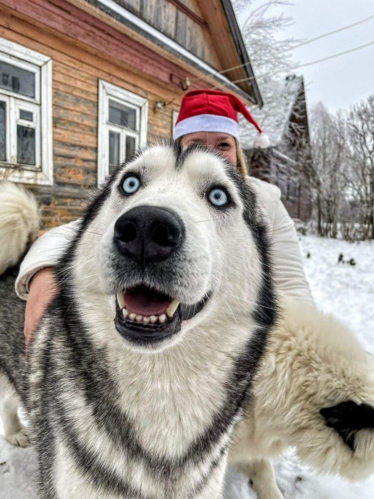 Photograph by Анна