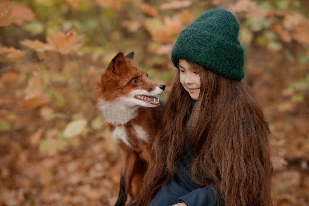 Ассель и лис Дэвид