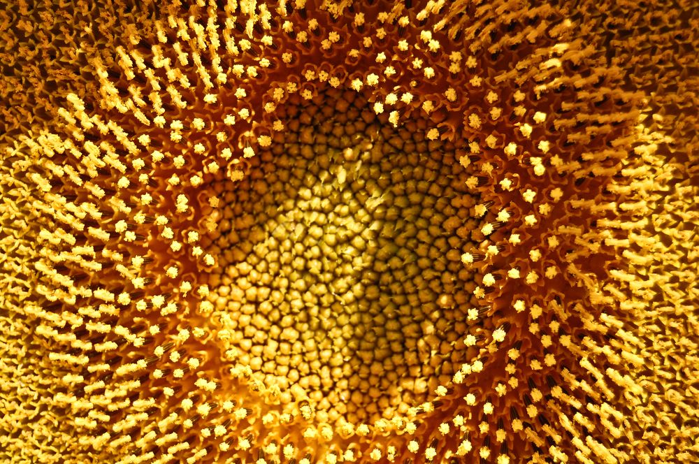 Photograph by Илья Ушак