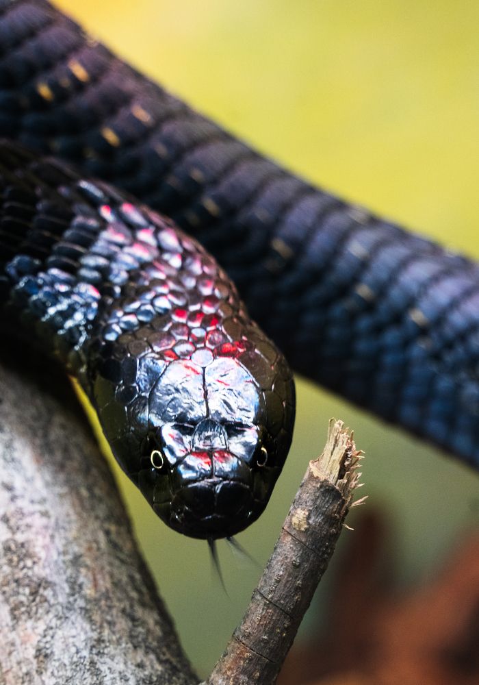 Photograph by Aleksandr Kolonsky