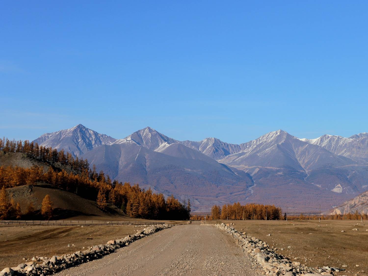 Photo #9746100