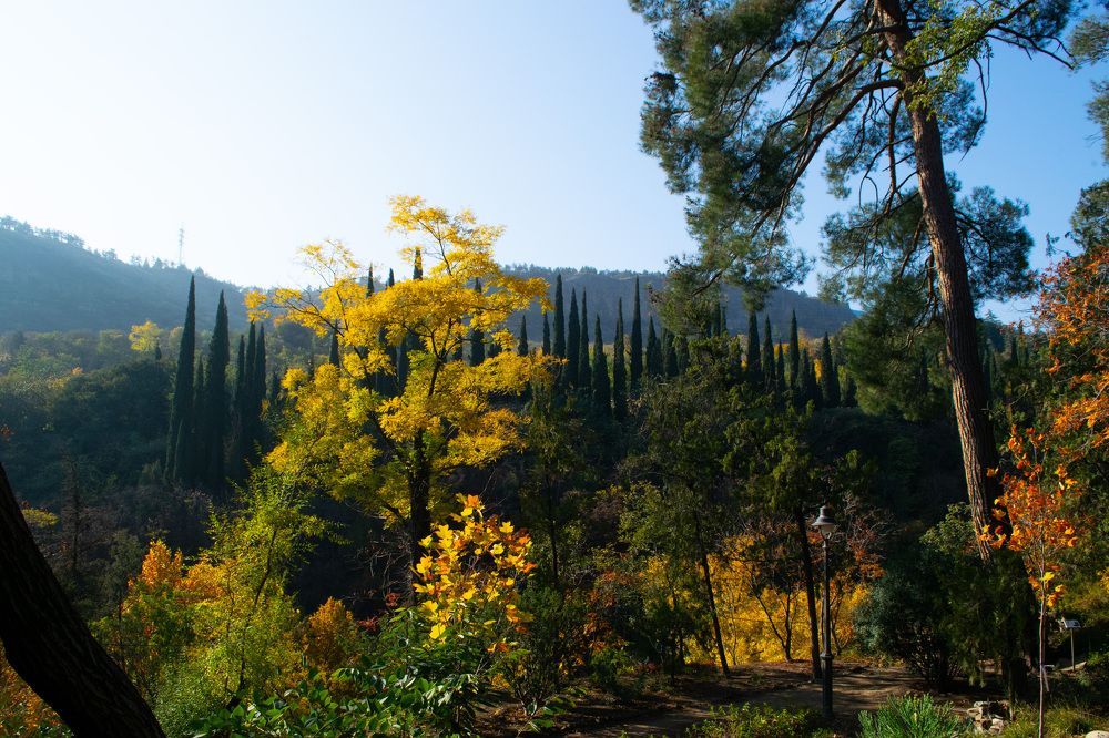 Фотография автора Маис Киракозов