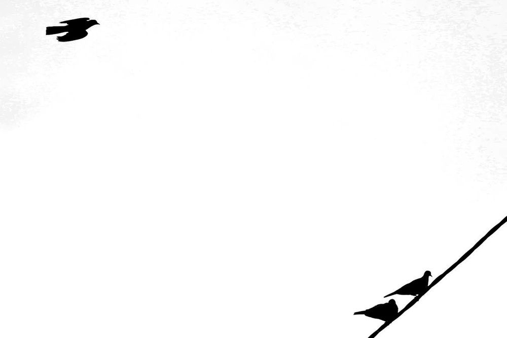 Photograph by mehdi karimi souderjani