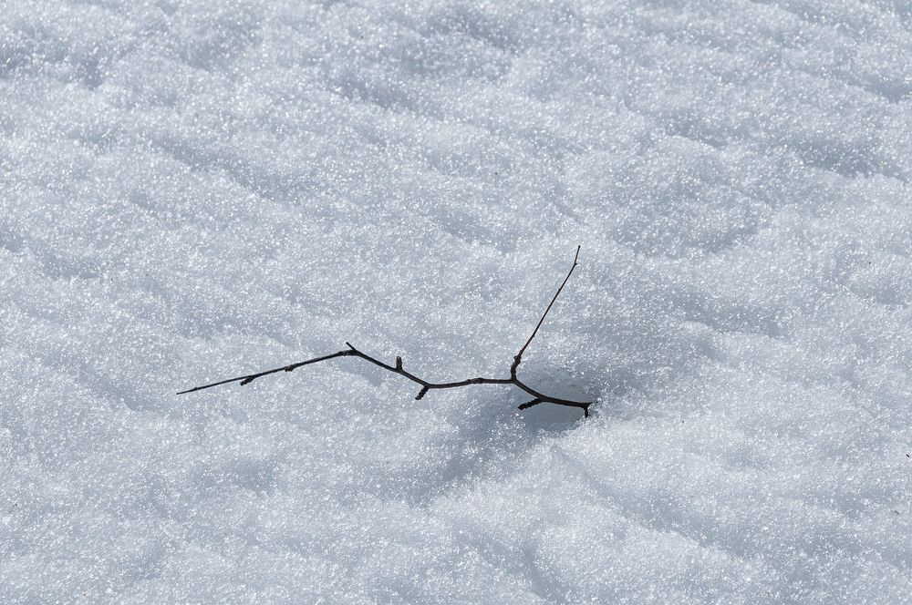 Photograph by Vladimir  Komarov