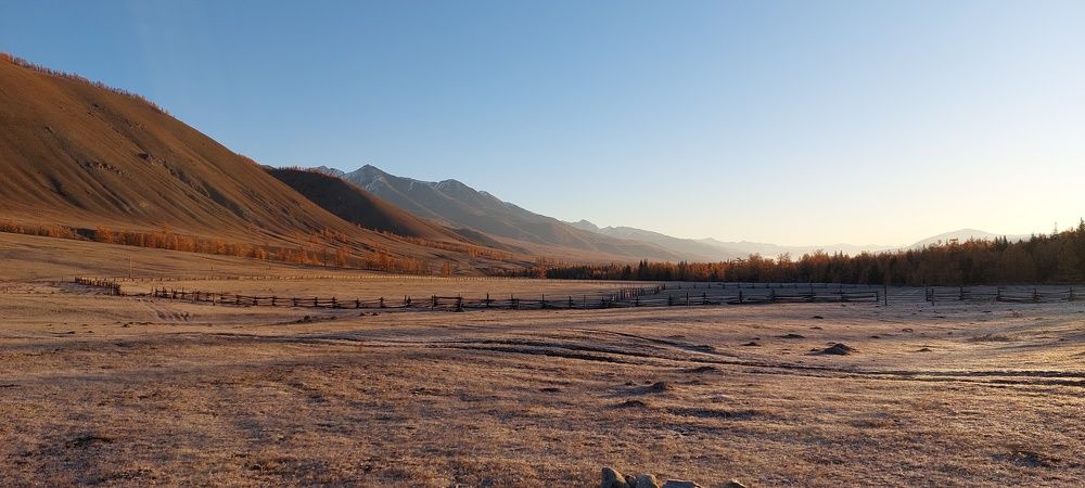 Photo #9746132