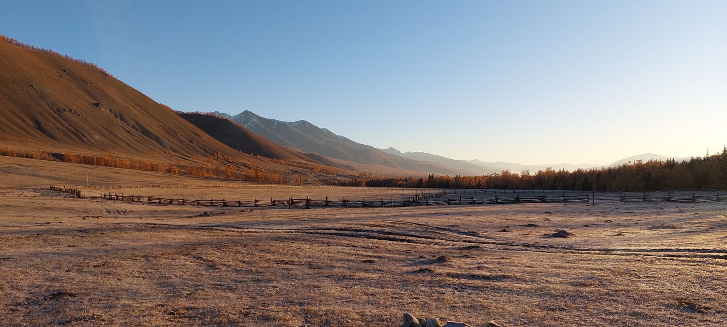 Photo #9746132
