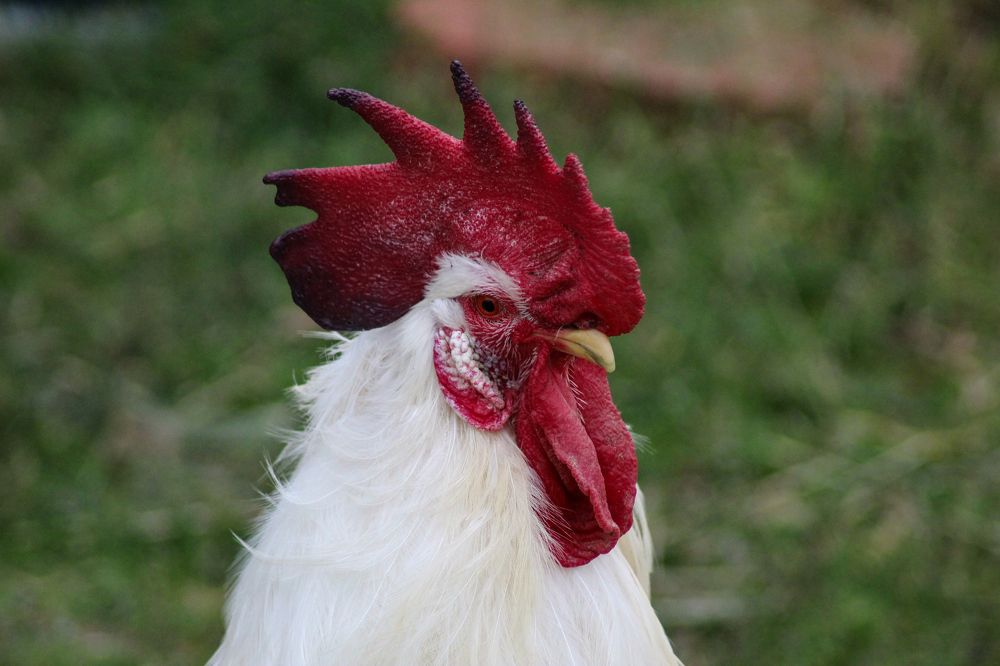 Photograph by Panagiotis Batatolis