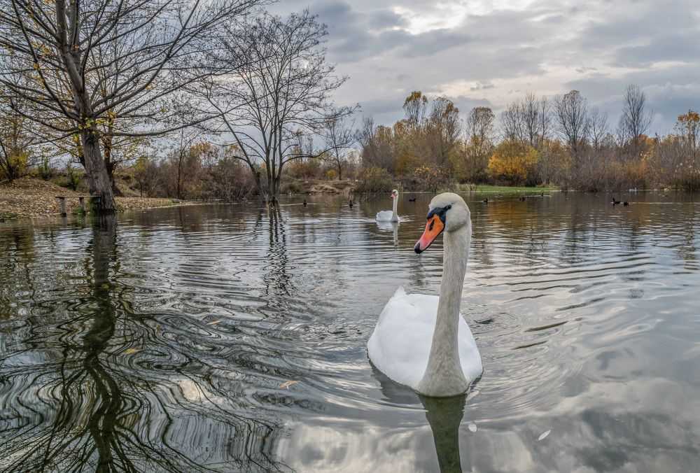 Photograph by Савчук Сергей