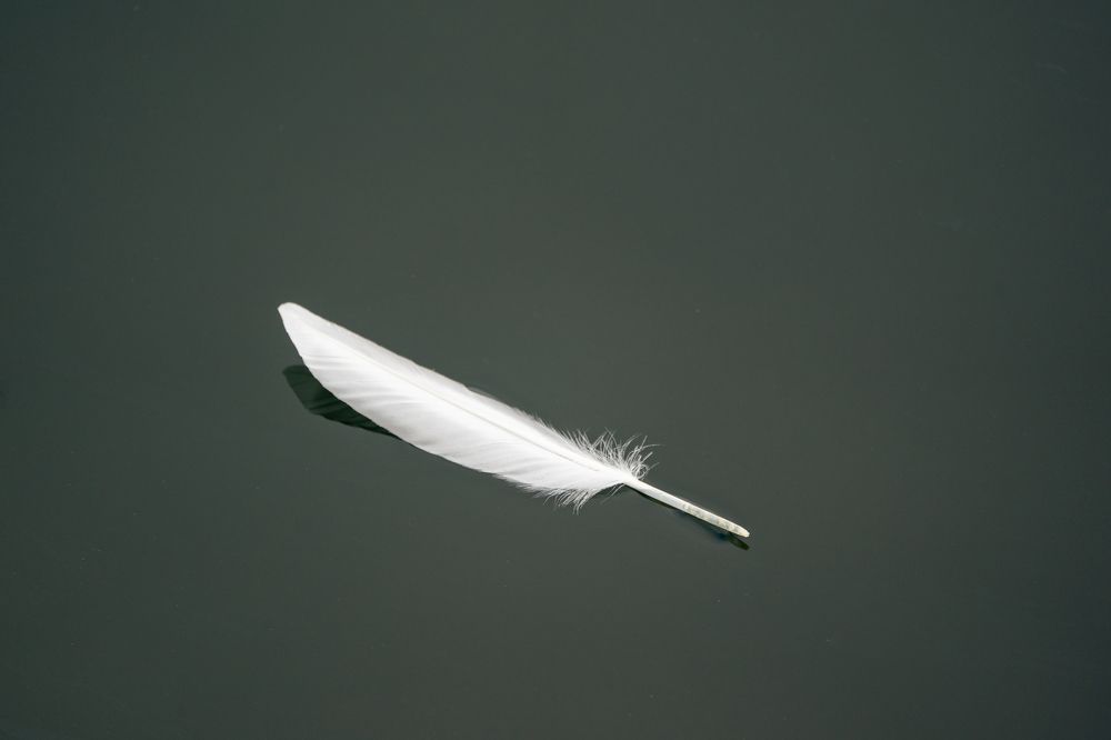 Фотография автора Ruslan Badykov