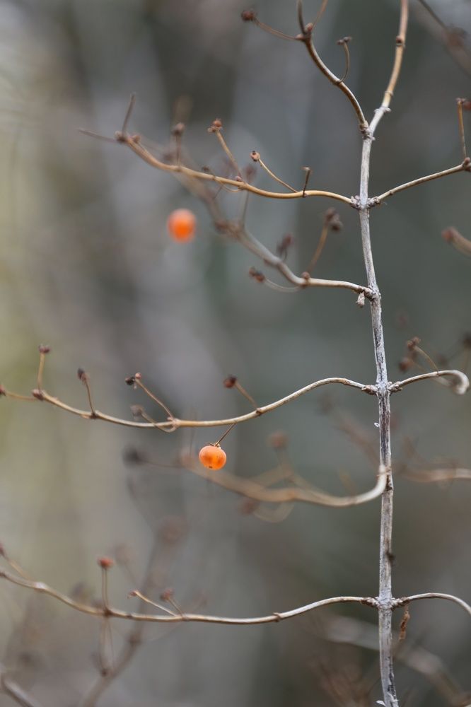 Photograph by Унку Юрий