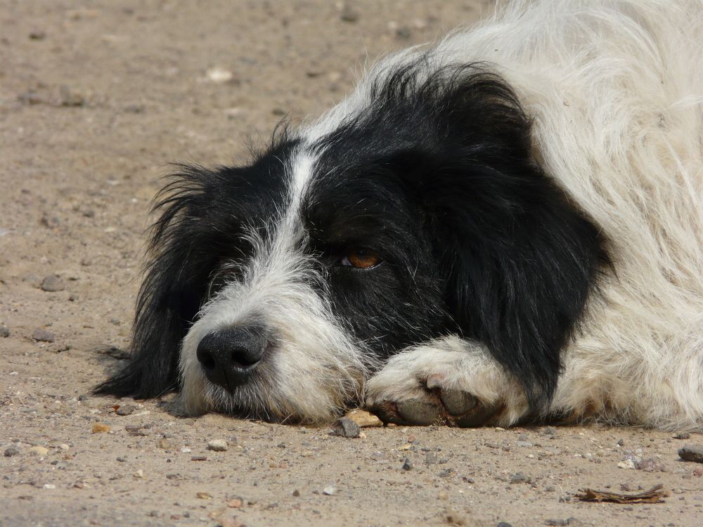 Photo #9746202