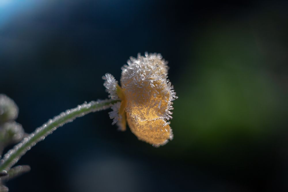 Photograph by Наталья Островцева