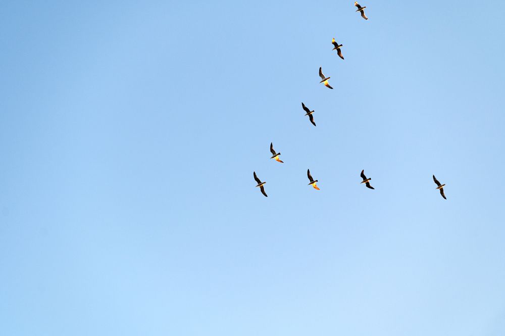 Photograph by Денис Труфанов