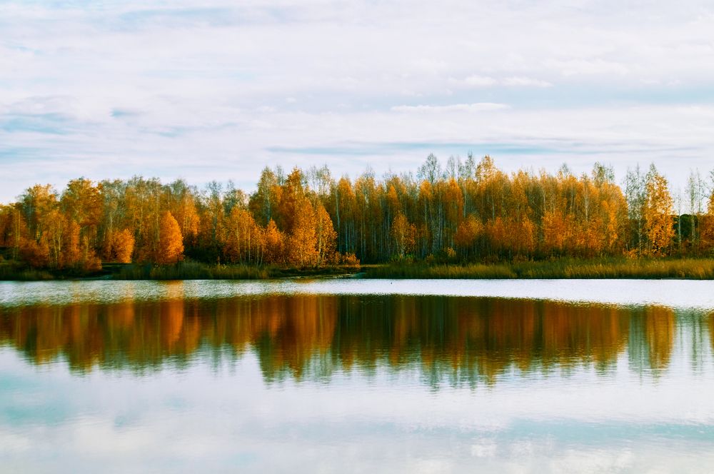 Photograph by Юрий Новиков