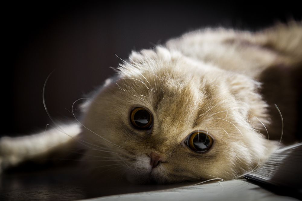 Photograph by Александр Васильев