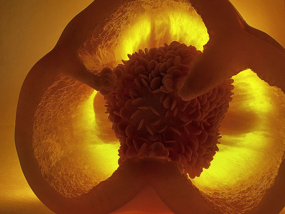 Photograph by Иван Труфанов