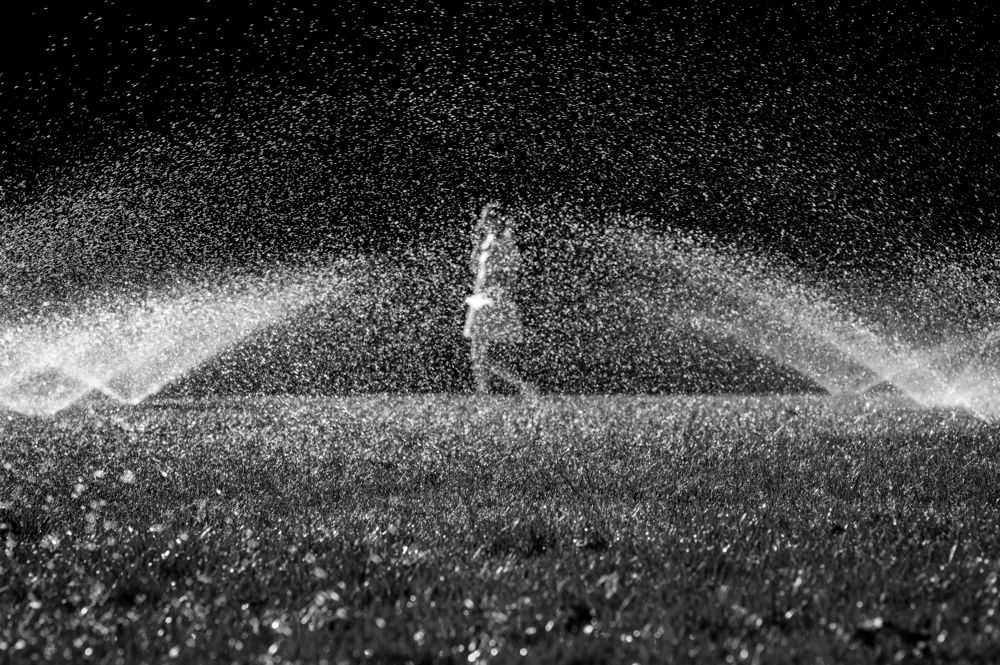 Photograph by Денис Труфанов