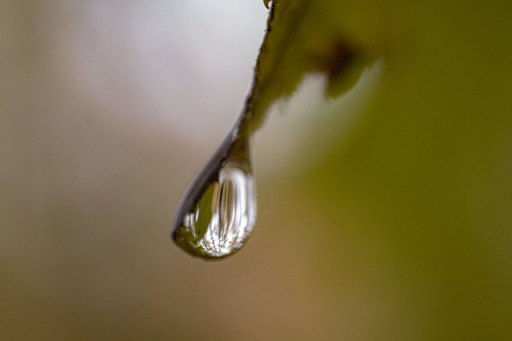 Photograph by Алфия Бугакова