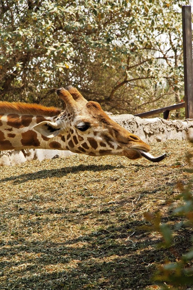 Photograph by Валерия Гуртовая