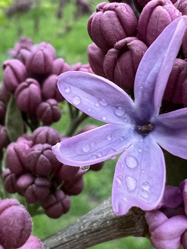 Photograph by Елена Громова