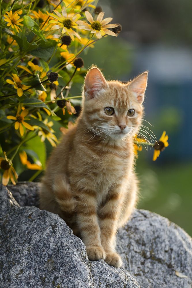 Photograph by Дарья Ващенко-Панкина