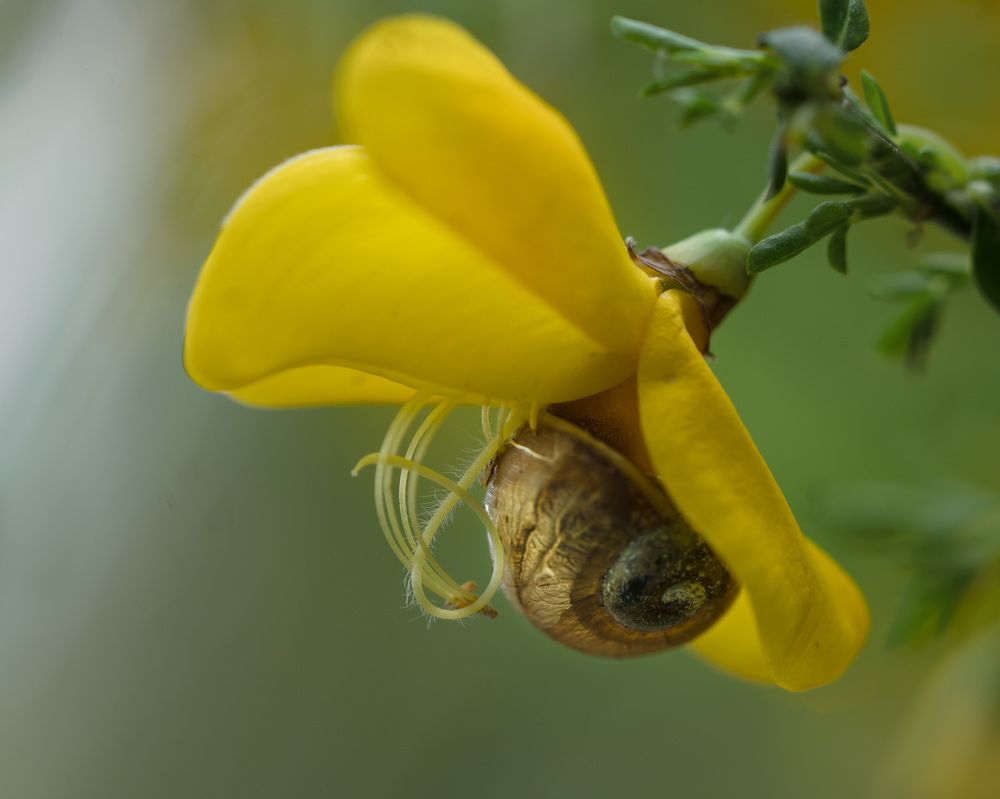 Photograph by LYUDMYLA POKRYSHEN