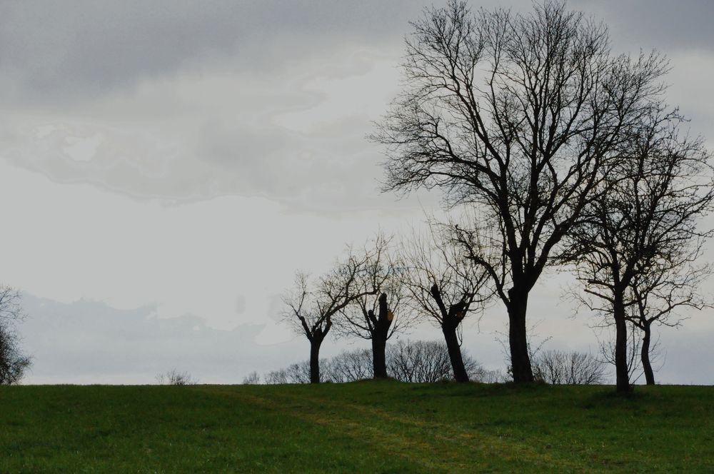 Photograph by Галина Лысых