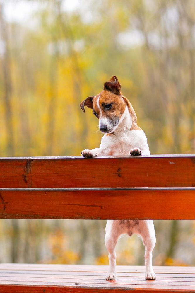 Photograph by Svetana Mertikova (Blinova)