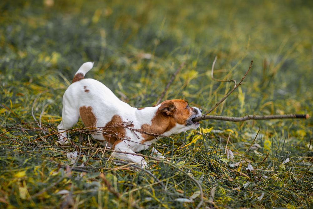 Photograph by Svetana Mertikova (Blinova)